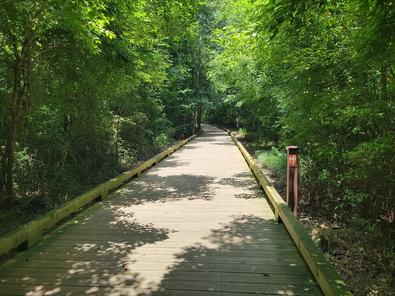 The Big Creek Greenway at mile 3 in Alpharetta