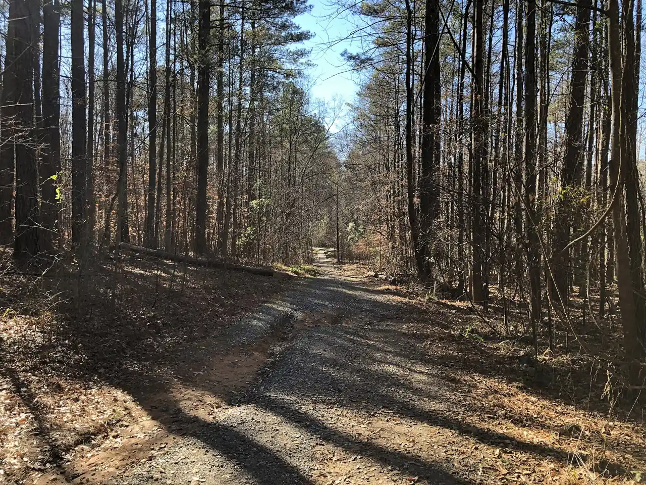 A trail in Autrey Mill Nature Preserve in Johns Creek, photographed in December 2020