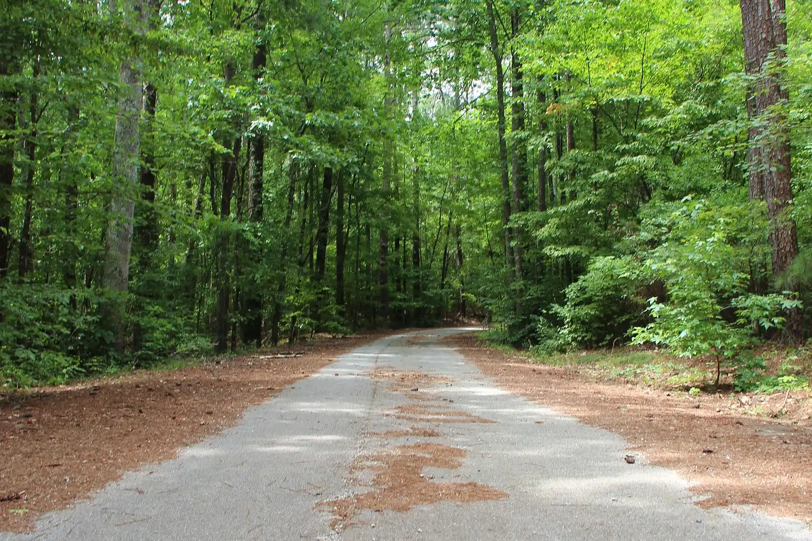 A path in Providence Park in Milton, about a mile west of the school (photo cropped)