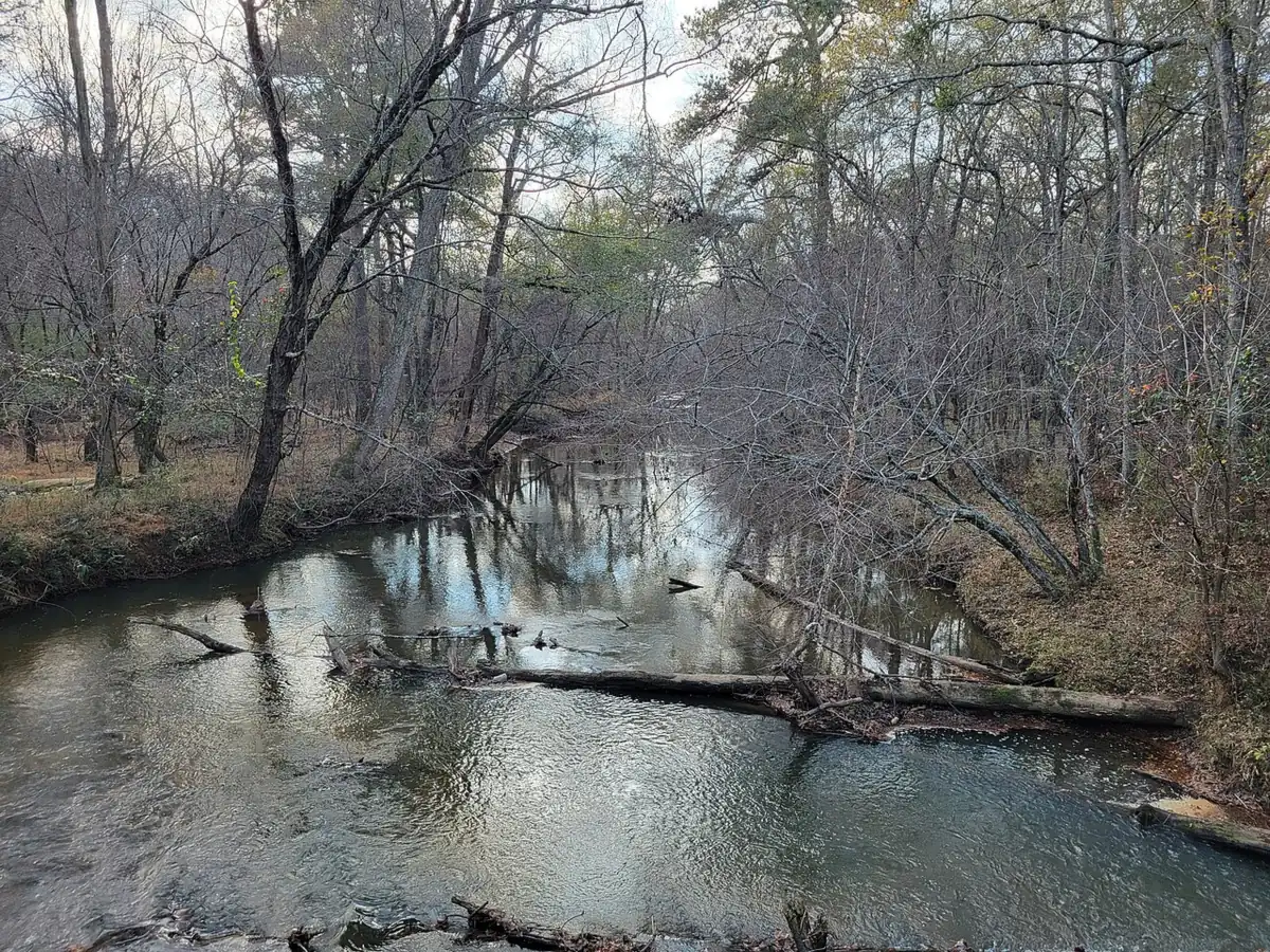Big Creek seen from the Big Creek Greenway, about half a mile north of the school, photographed in 2025