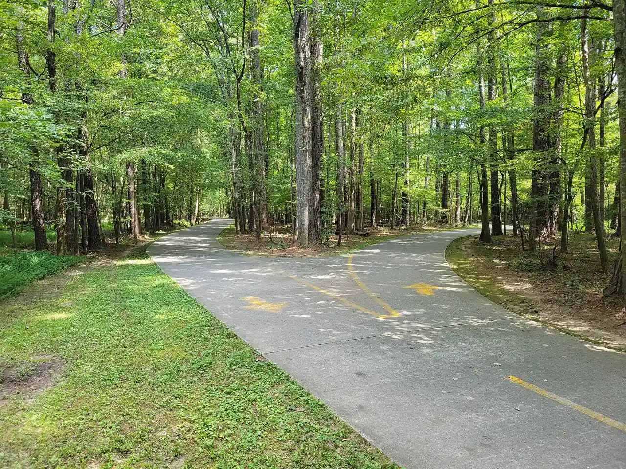 The Big Creek Greenway's divided bikeway in Alpharetta, photographed in September 2025