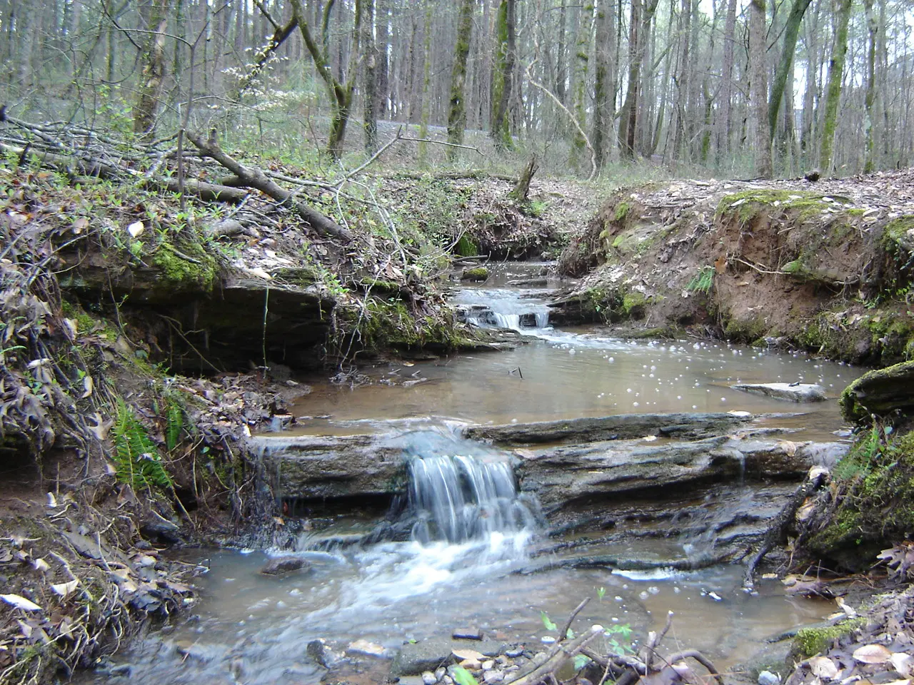 A stream in Webb Bridge Park, the city park farther along Webb Bridge Road from the school, photographed in 2009