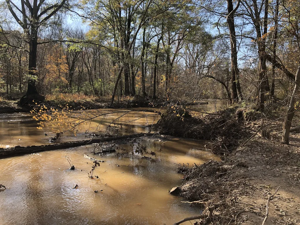 Big Creek in Alpharetta on Thanksgiving Day 2020