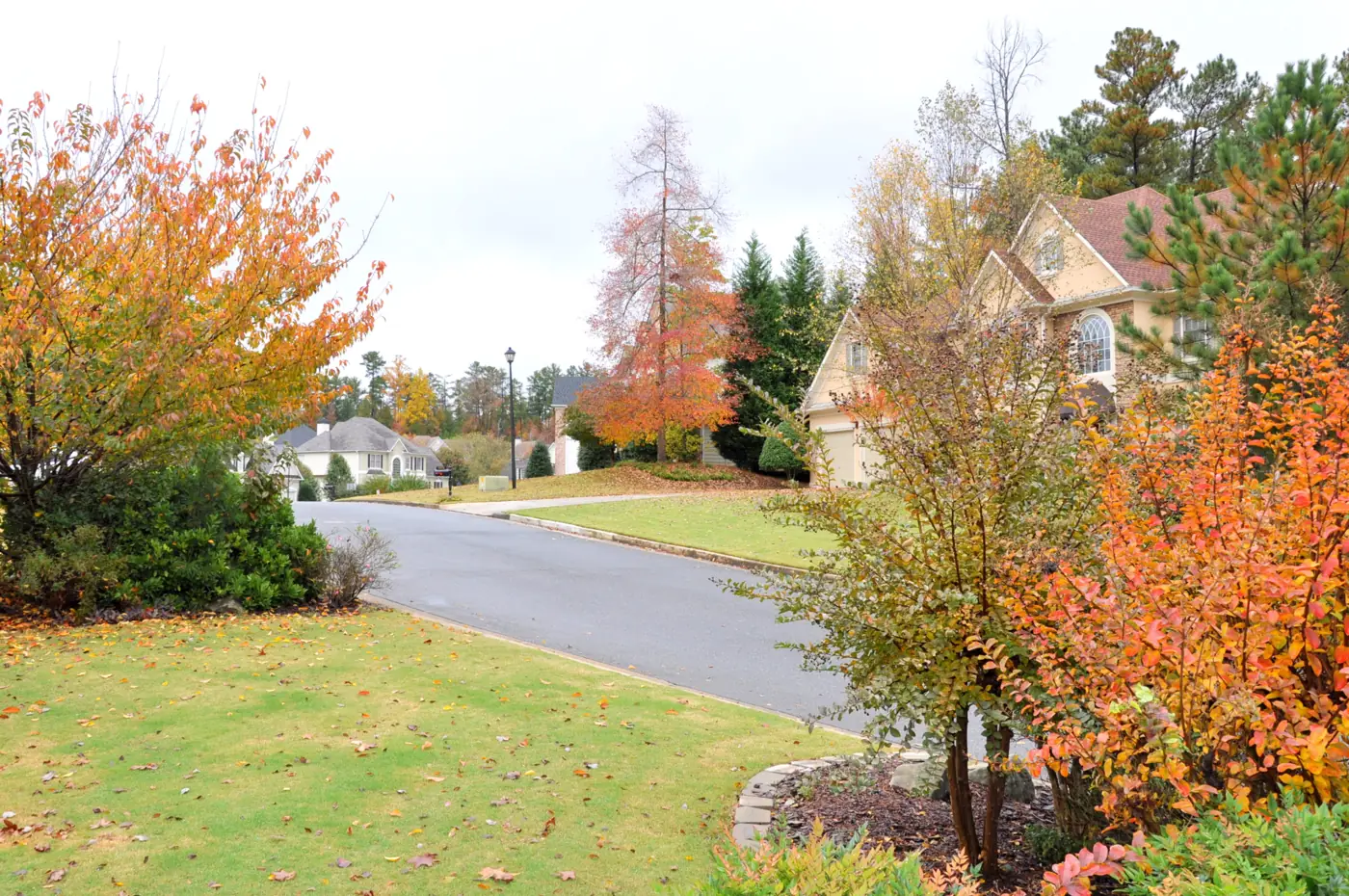 Fall color on a residential street in Lexington Woods, Alpharetta, in October